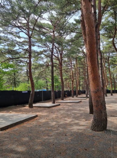 양양 바다캠핑장 이미지 6