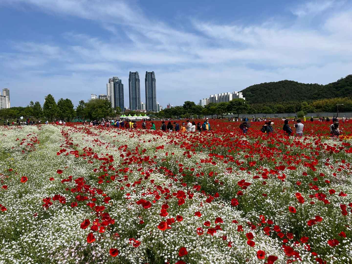 태화강 국가정원 봄꽃축제 이미지 2