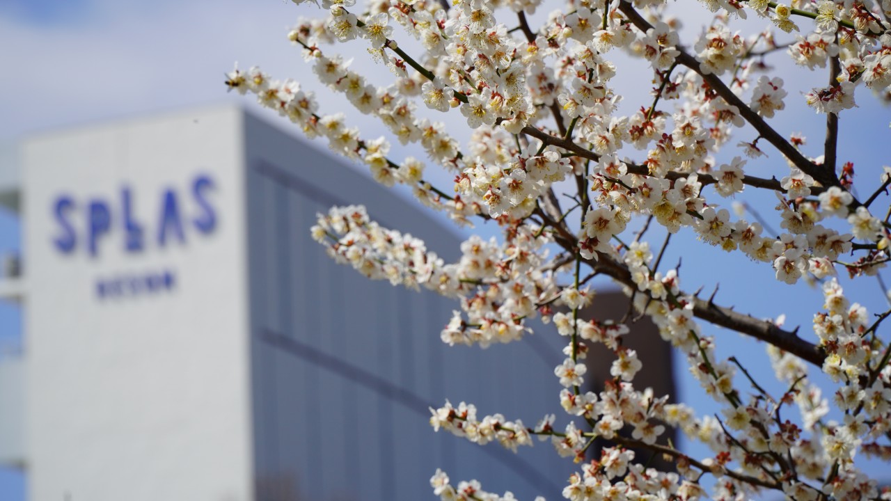 예산 스플라스 리솜 온천 이미지 11