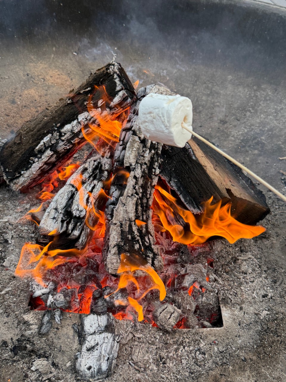 스피드존 이미지 10