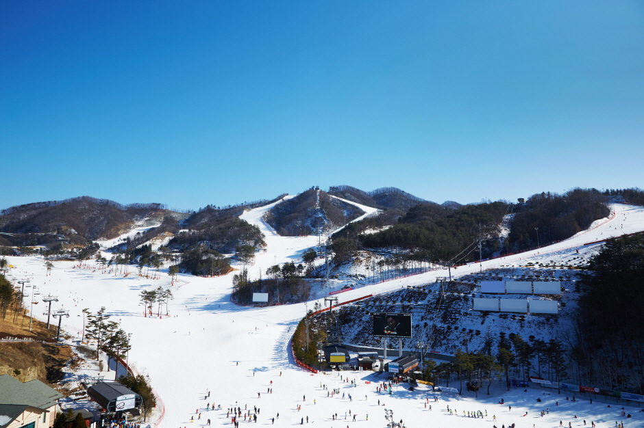 오크밸리스키장 이미지 3