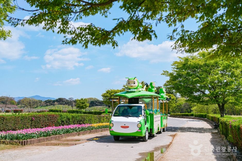 경주 비단벌레 전동차 이미지 2