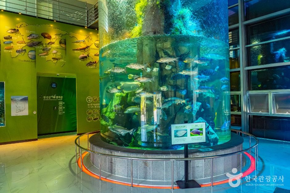 섬진강어류생태관 이미지 2