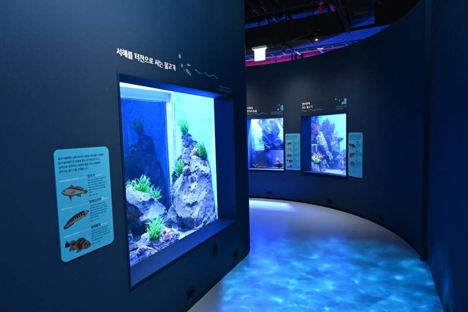 시흥 해양생태과학관 이미지 4
