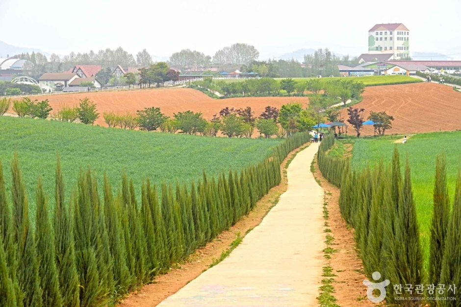 안성팜랜드 이미지 7