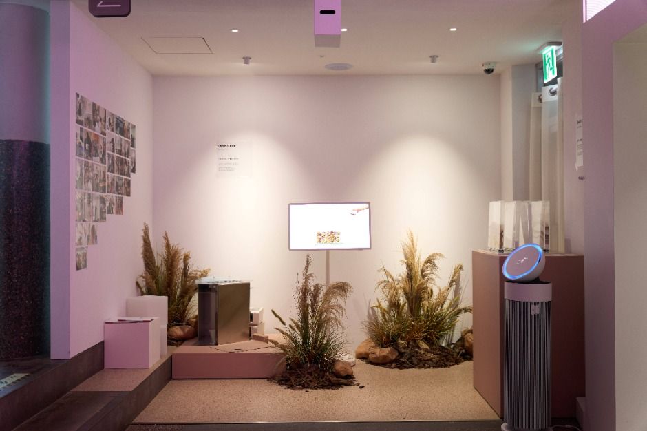 금성전파사 캠퍼스아트센터 이미지 8