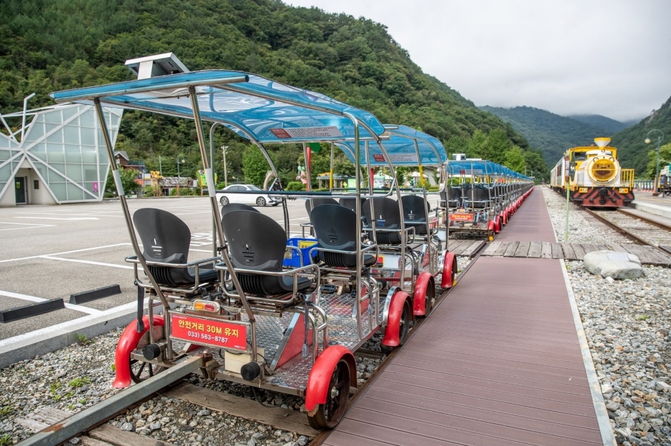 정선 레일바이크 이미지 5