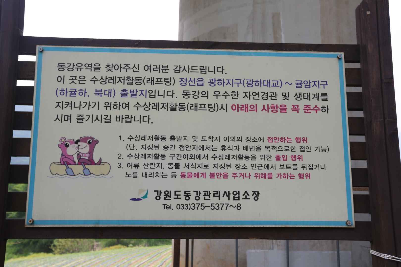 정선 동강 래프팅 이미지 5