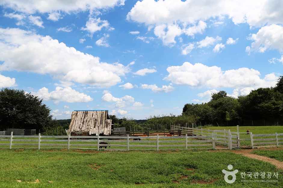 하동 해뜰목장 이미지 1