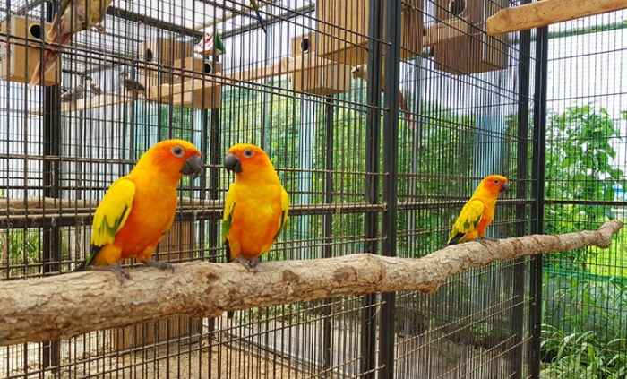 아가새농장 이미지 1