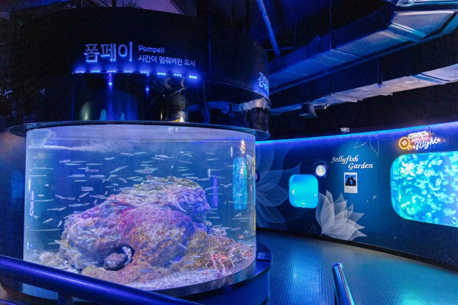 코엑스 아쿠아리움 이미지 5