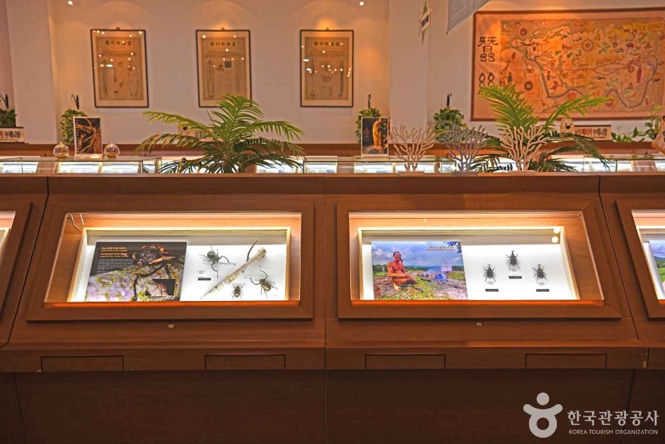 부안누에타운 이미지 4