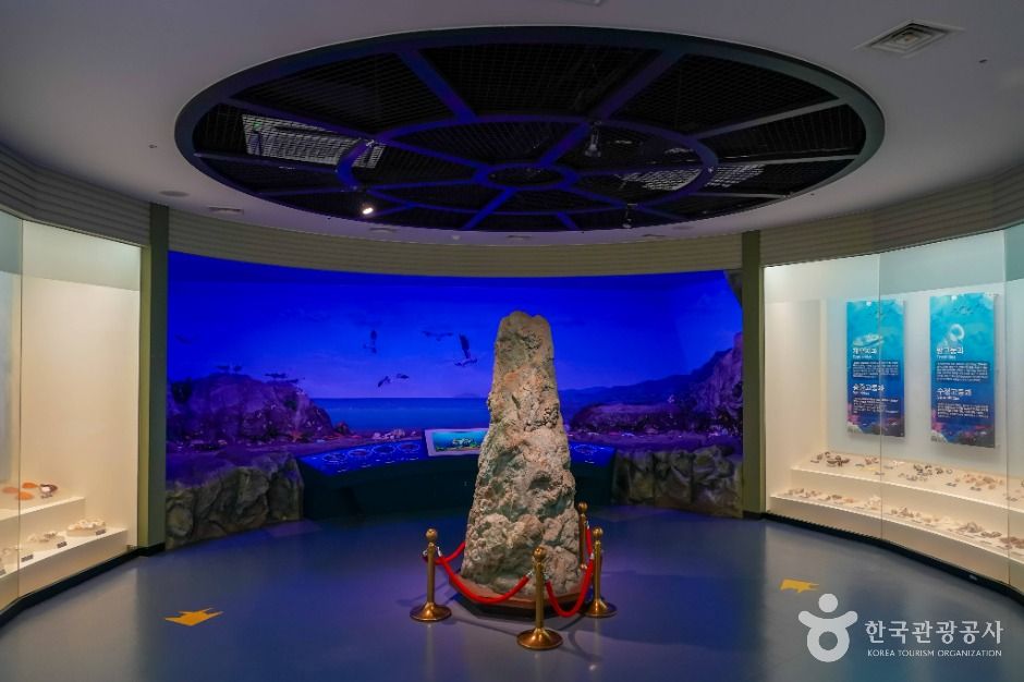 창원 해양생물테마파크 이미지 3