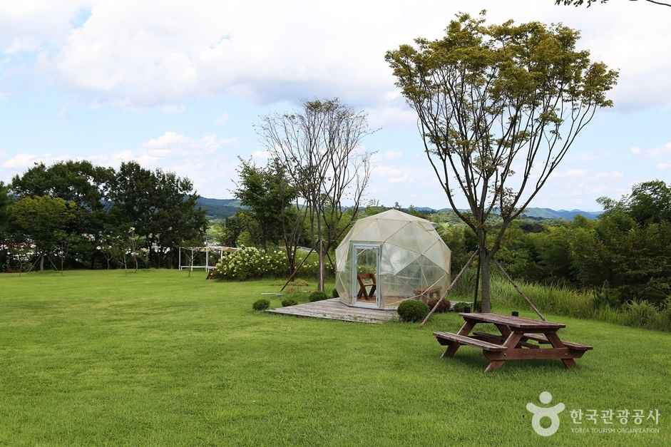 하동 해뜰목장 이미지 6