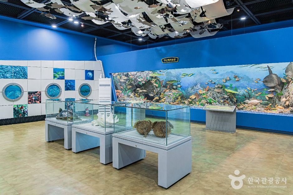 진도 해양생태관 이미지 4