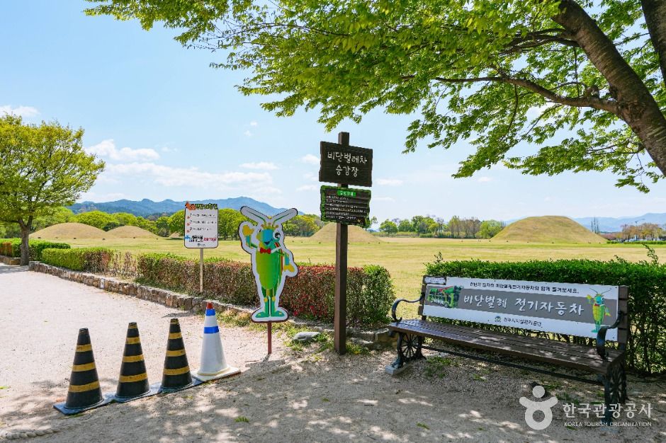 경주 비단벌레 전동차 이미지 4