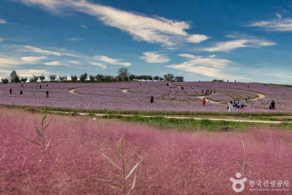 안성팜랜드 이미지 4