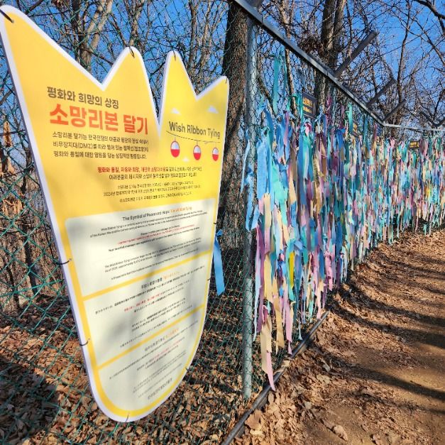 파주 임진각평화곤돌라 이미지 6