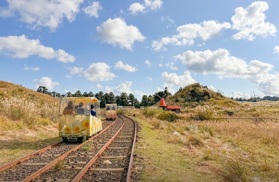 제주 레일바이크 이미지 6