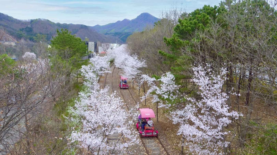 춘천 강촌레일파크 경강레일바이크 이미지 2