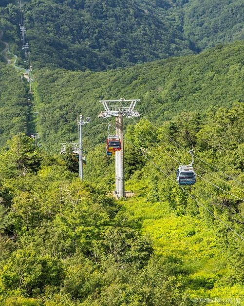 평창 발왕산 관광케이블카 이미지 7