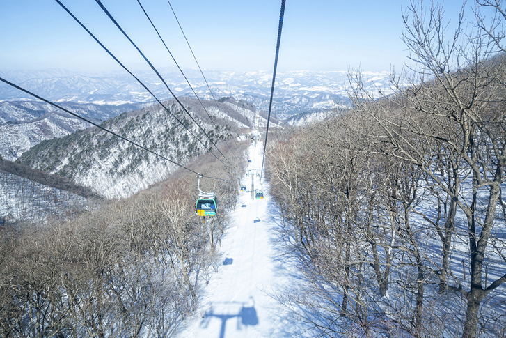 평창 발왕산 관광케이블카 이미지 6