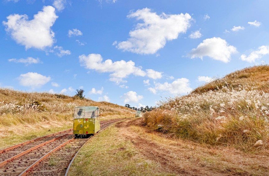 제주 레일바이크 이미지 7