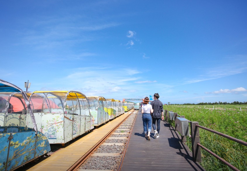 제주 레일바이크 이미지 4