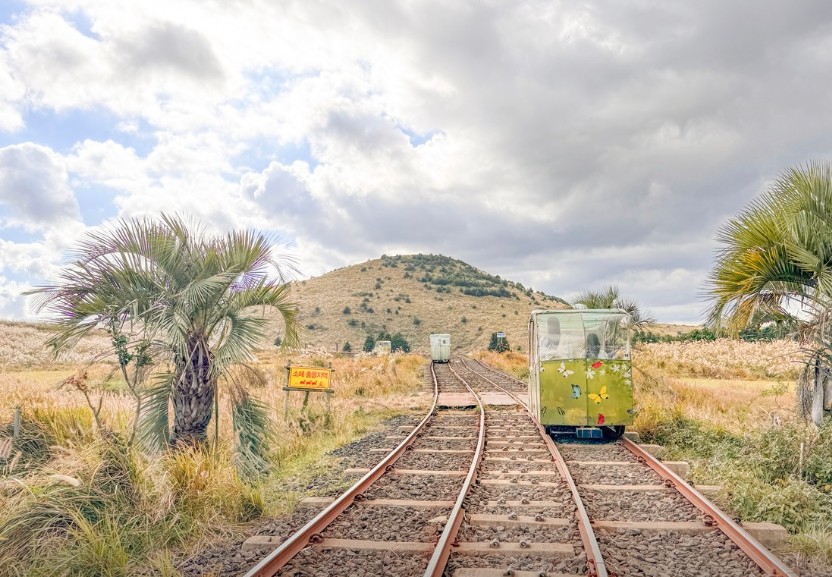 제주 레일바이크 이미지 8