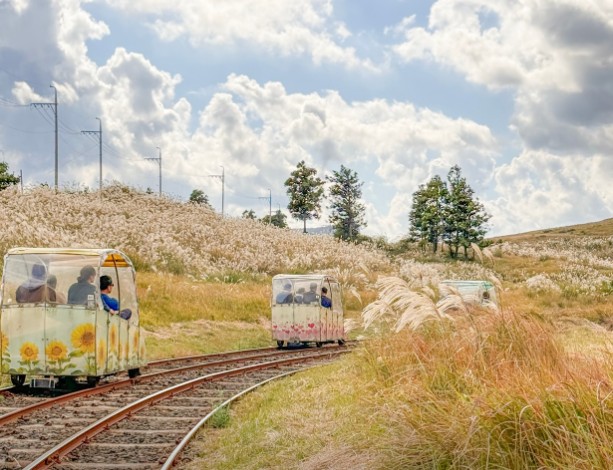 제주 레일바이크 이미지 9