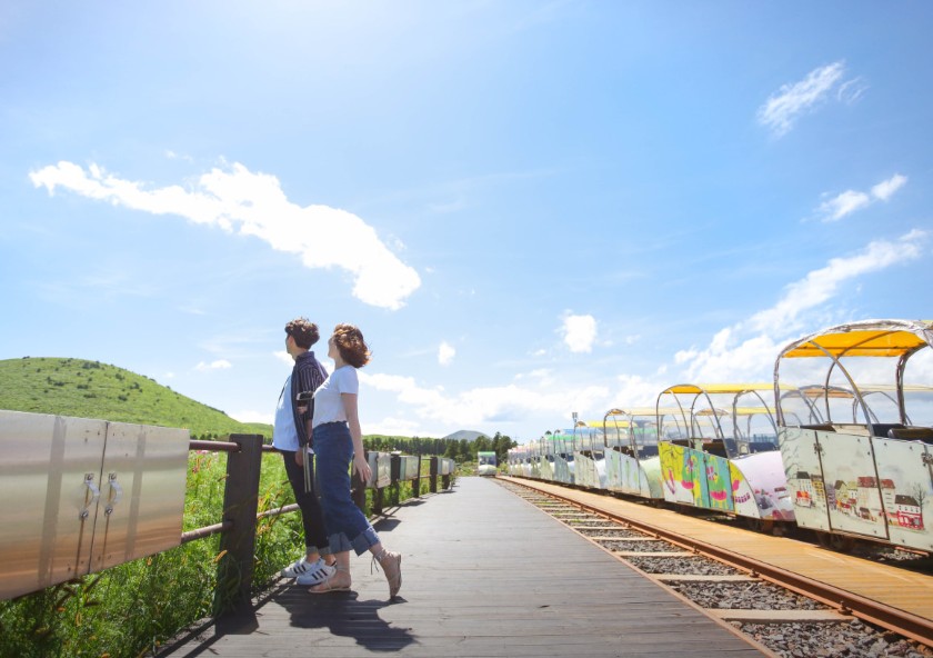 제주 레일바이크 이미지 5