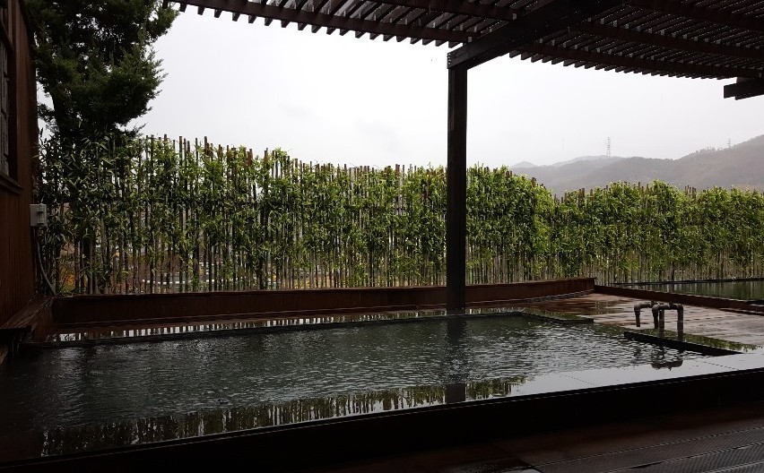 청주 초정약수세종스파텔 이미지 5