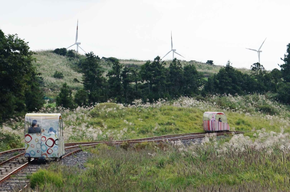 제주 레일바이크 이미지 3