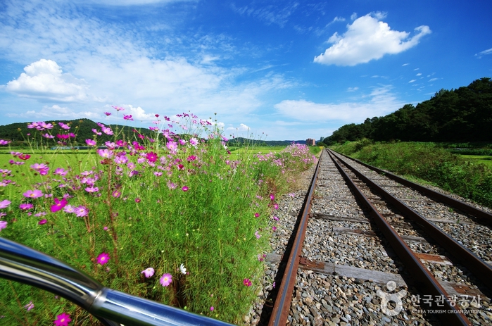 아산 레일바이크 이미지 6