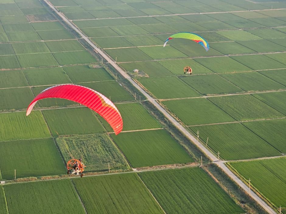 보령 다빈치동력패러 이미지 2