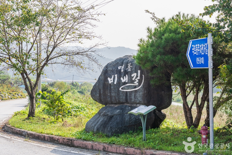 충주 앙성 온천 이미지 3