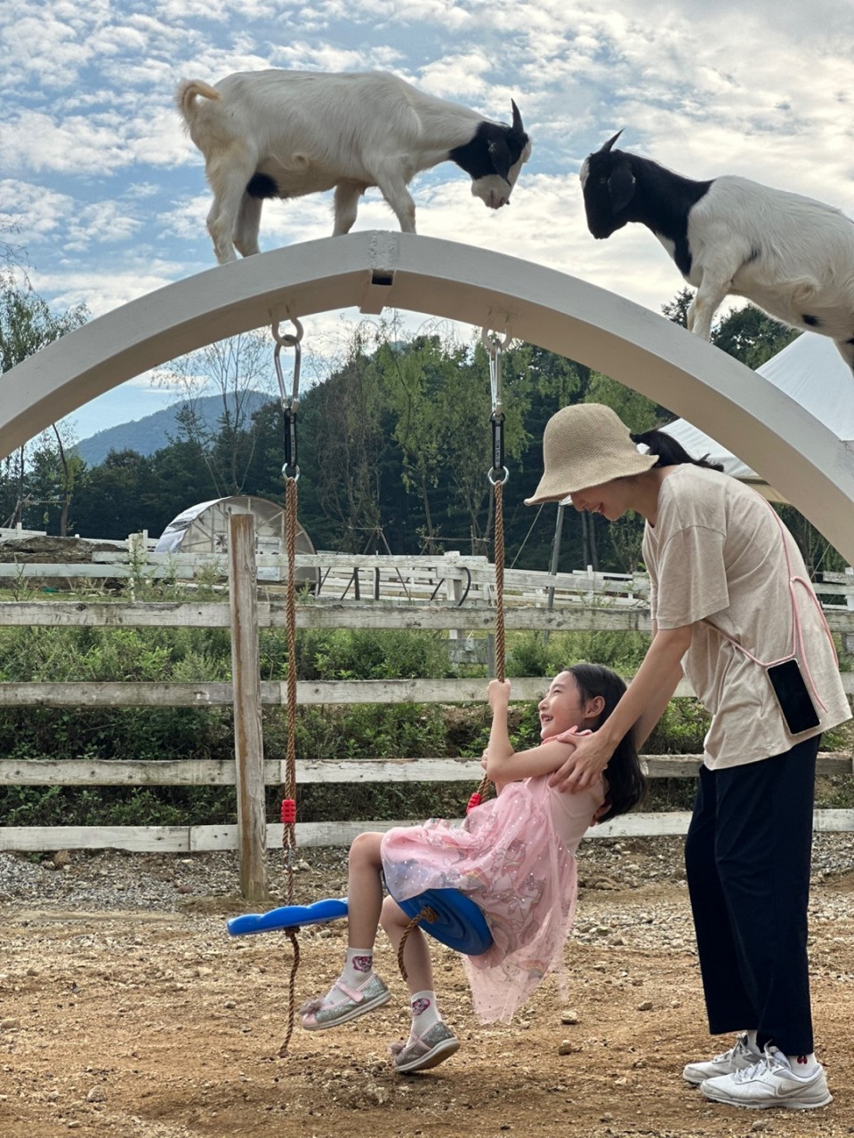 가평양떼목장 이미지 4