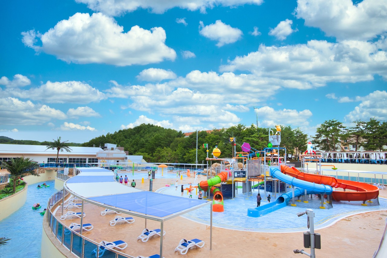 웰리힐리파크 워터플래닛 이미지 2