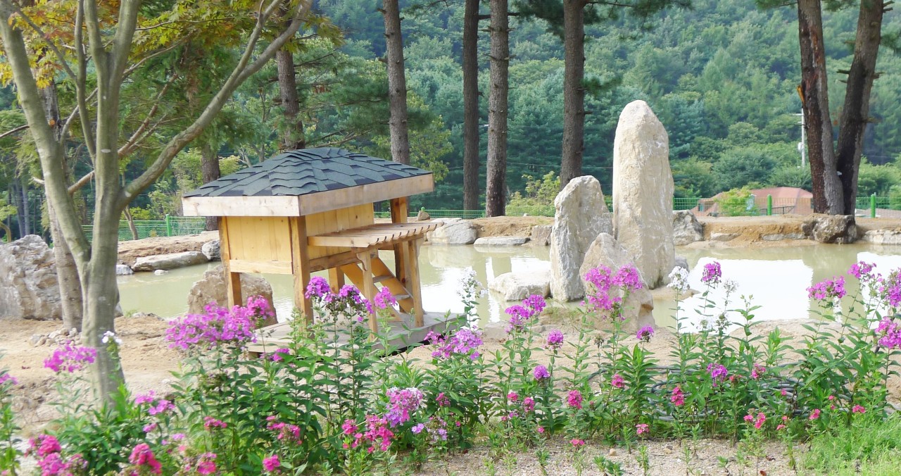 아침고요가족동물원 이미지 9