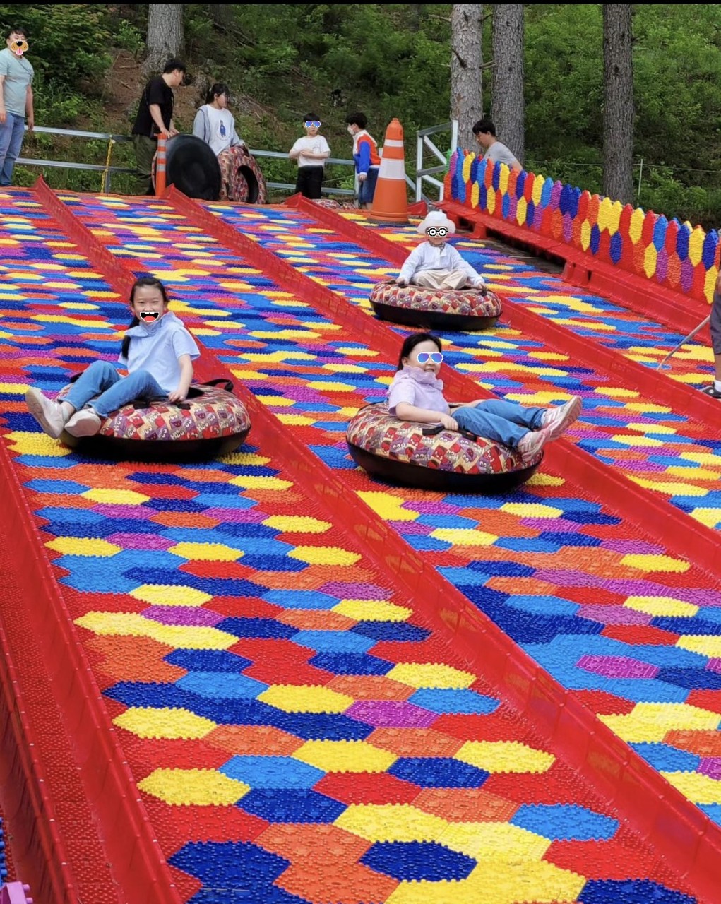 가평양떼목장 이미지 5