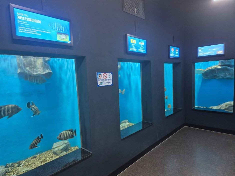 충북 괴산아쿠아리움_무료 이미지 6