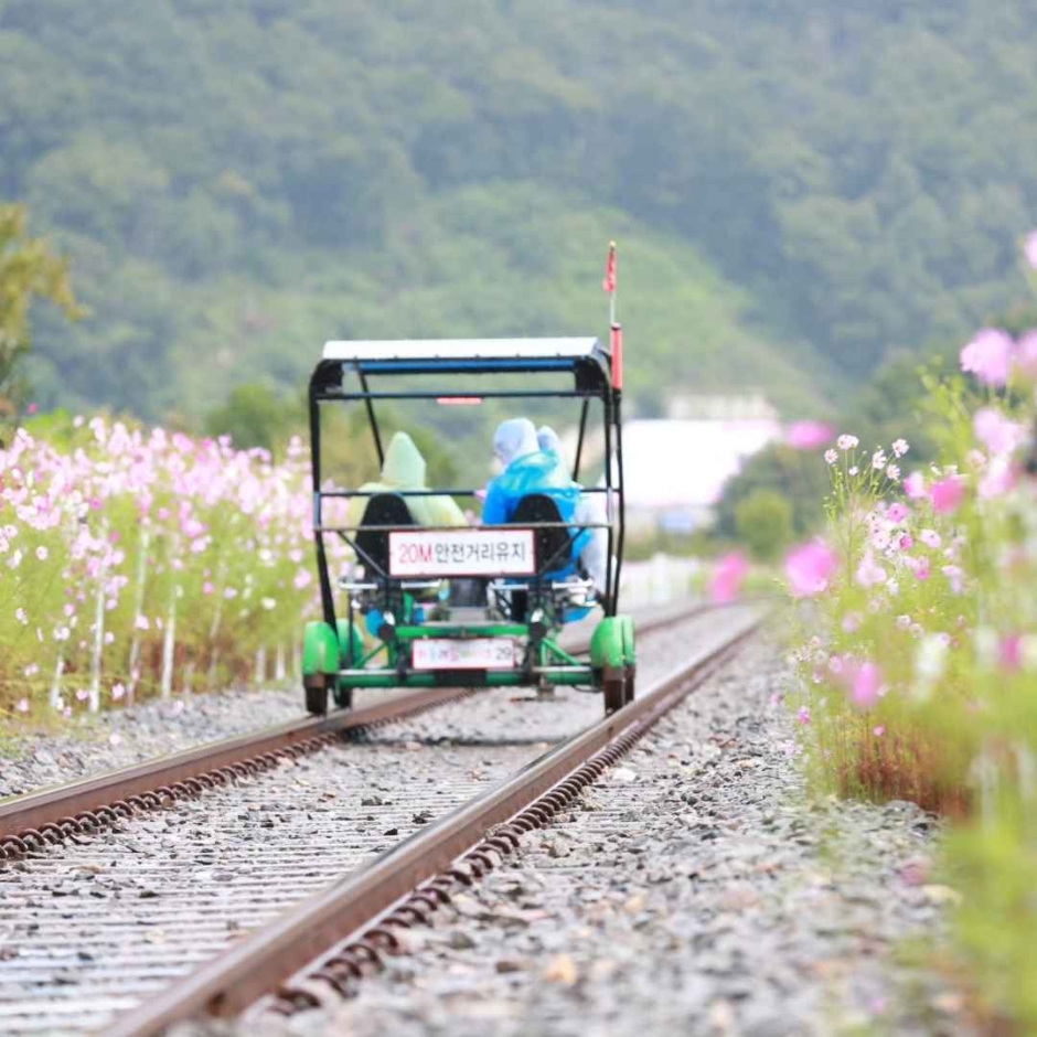 하동 레일파크 이미지 2