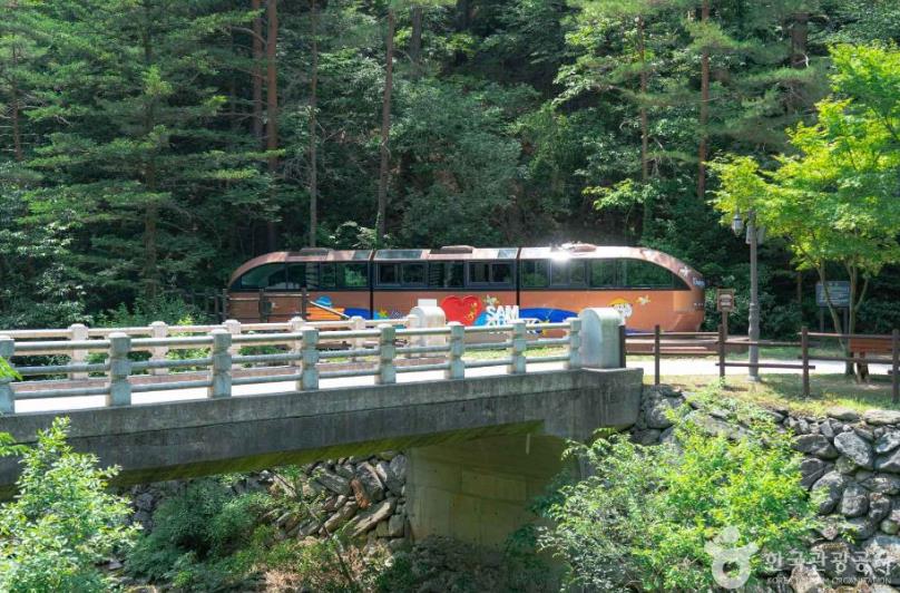 삼척 모노레일 _환선굴, 대금굴 이미지 2