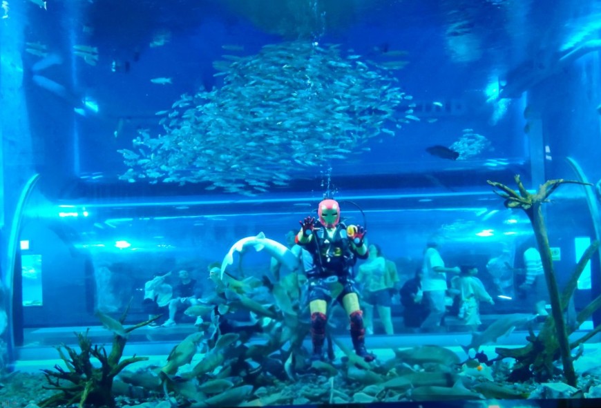 충북 괴산아쿠아리움_무료 이미지 9