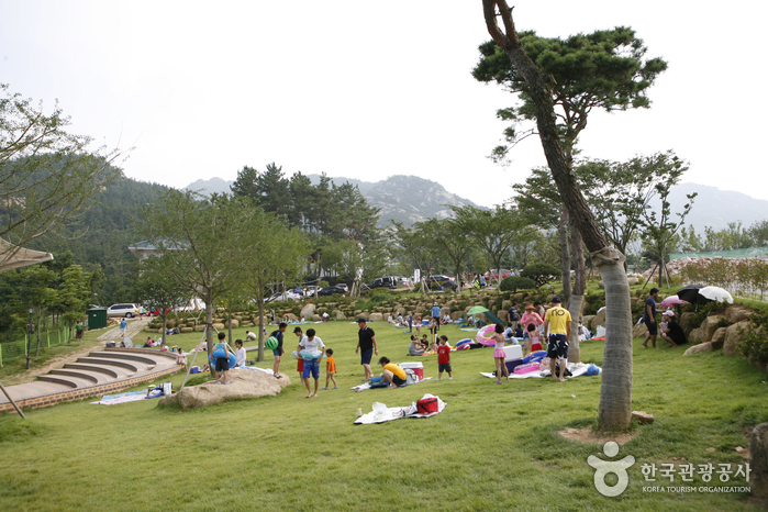 영암 월출산 기찬랜드 이미지 6