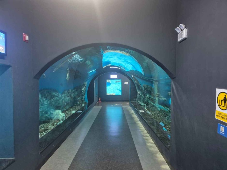 충북 괴산아쿠아리움_무료 이미지 3