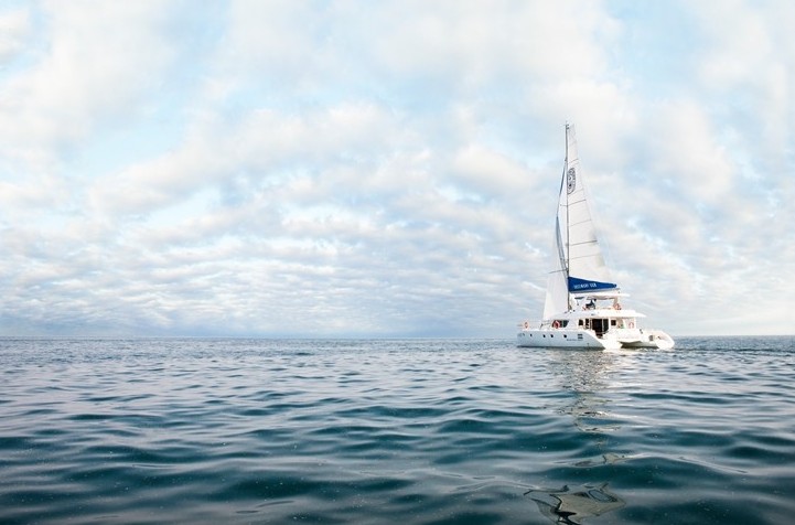 소노캄 거제 마리나베이 이미지 4