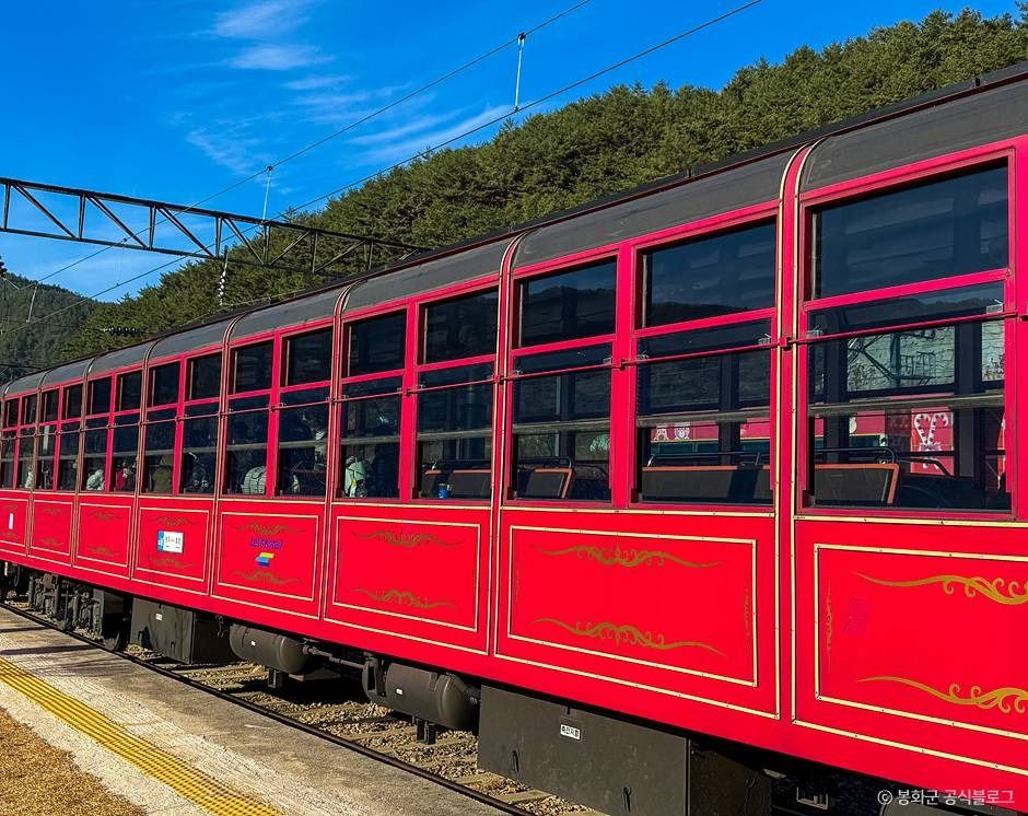 백두대간협곡열차 이미지 6