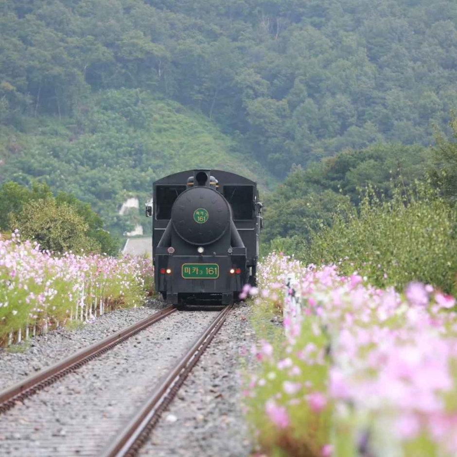 하동 레일파크 이미지 6