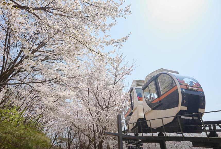 광주 화담숲 모노레일 이미지 2